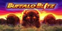 Buffalo Blitz